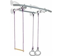 Настенный турник Midzumi Mun снежный барс M14415004