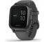 Часы Garmin Venu Sq NFC Shadow Gray/Slate WW 010-02427-10 1