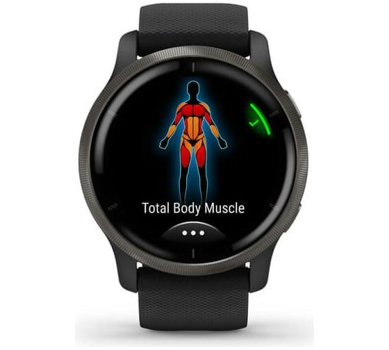 Часы Garmin Venu 2 GPS Wi-Fi Black + Slate Leather WW 010-02430-21