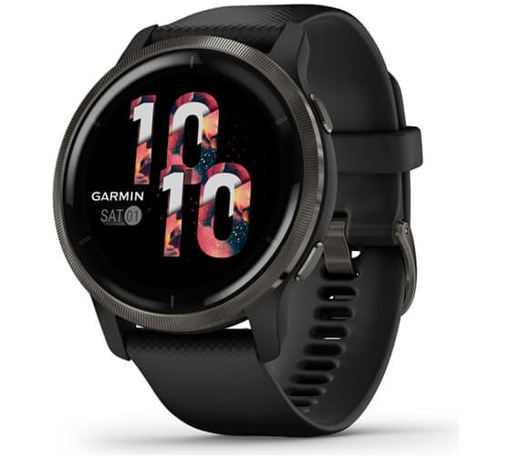 Часы Garmin Venu 2 GPS Wi-Fi Black + Slate WW 010-02430-11 1