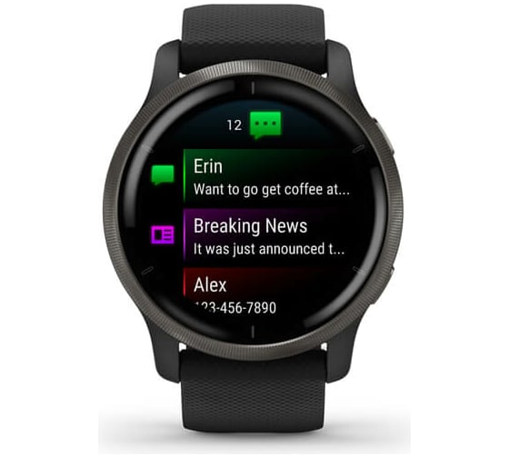 Часы Garmin Venu 2 GPS Wi-Fi Black + Slate WW 010-02430-11