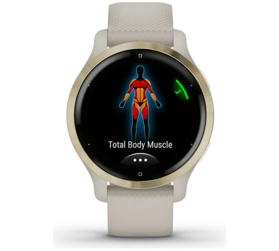 Часы Garmin Venu 2S GPS Wi-Fi Tundra + Champagne WW 010-02429-11