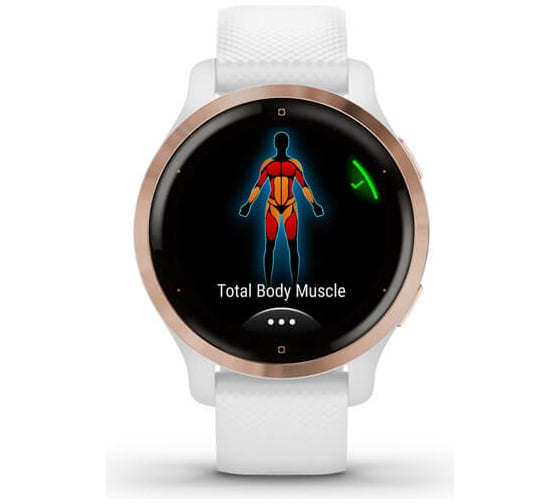 Часы Garmin Venu 2S GPS Wi-Fi Rose Gold + White WW 010-02429-13