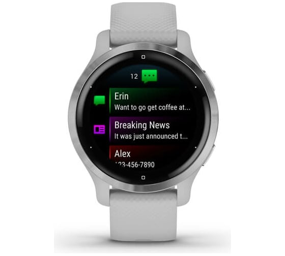 Часы Garmin Venu 2S GPS Wi-Fi Mist Grey + Passivated WW 010-02429-12