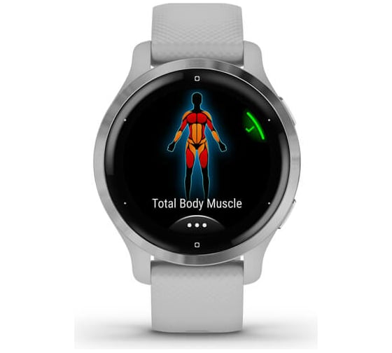 Часы Garmin Venu 2S GPS Wi-Fi Mist Grey + Passivated WW 010-02429-12