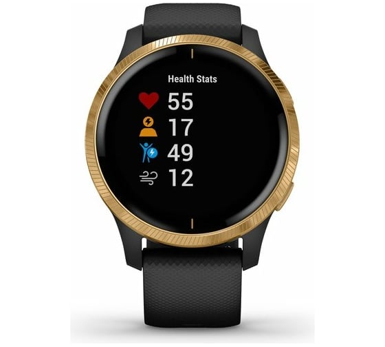 Часы Garmin Venu GPS Wi-Fi Black/Gold E.EU 010-02173-33