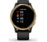 Часы Garmin Venu GPS Wi-Fi Black/Gold E.EU 010-02173-33 2
