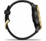 Часы Garmin Venu GPS Wi-Fi Black/Gold E.EU 010-02173-33 3