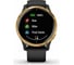 Часы Garmin Venu GPS Wi-Fi Black/Gold E.EU 010-02173-33 4