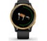 Часы Garmin Venu GPS Wi-Fi Black/Gold E.EU 010-02173-33 6