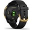 Часы Garmin Venu GPS Wi-Fi Black/Gold E.EU 010-02173-33 7