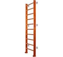 Шведская стенка Kampfer Classic Wall, №4 вишневый, стандарт, антик K04297019