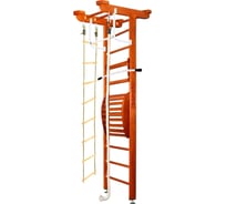 Шведская стенка Kampfer Little Sport Maxi Ceiling, №4 вишневый, стандарт K03623010