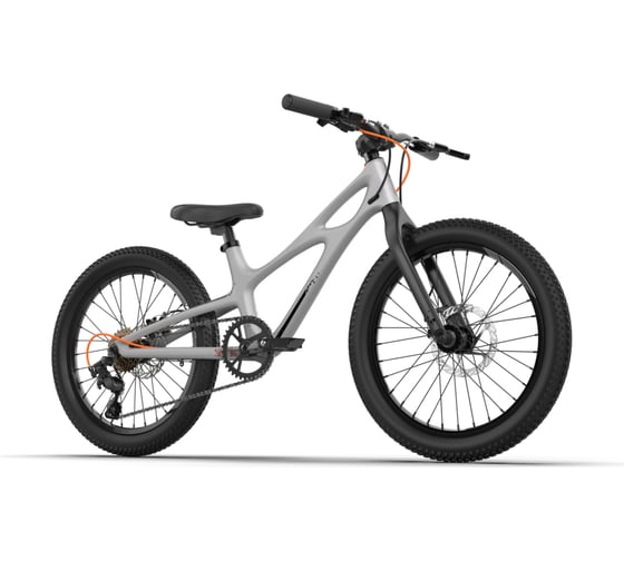 Велосипед Royal Baby Space Shuttle 20 3-spd RB20-22C3 Серый