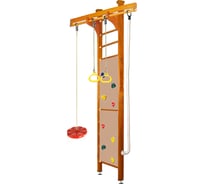 Спортивно-игровой комплекс Kampfer Swift Ceiling, №3 классический, высота 3м K07616007