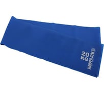 Резиновый бинт Harper Gym NT18002 нагрузка 10-20 кг 4690222159141