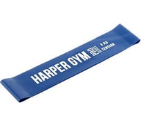 Замкнутый эспандер для фитнеса Harper Gym NT961Q 50х5х0.065 см, нагрузка 5 кг 4690222151947