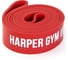 Замкнутый эспандер для фитнеса Harper Gym NT961Z 208х4.5х0.45 см, нагрузка 20-55 4690222151930 1