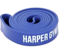 Замкнутый эспандер для фитнеса Harper Gym NT961Z 208х2.9х0.45 см, нагрузка 12-25 4690222151923
