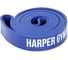 Замкнутый эспандер для фитнеса Harper Gym NT961Z 208х2.9х0.45 см, нагрузка 12-25 4690222151923 1