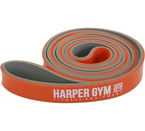 Замкнутый эспандер для фитнеса Harper Gym NT18008 208x2.2x0.45 см, нагрузка 10-30 кг 4690222159202