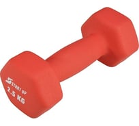 Неопреновая гантель Start Up HD1201 2.5 кг, красный 4690222174076