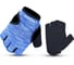 Перчатки для фитнеса Larsen 16-15052 black/blue р.S 4690222165913 1