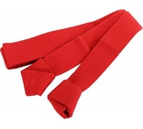 Ремешок для переноски ковриков и валиков Larsen СS, 160x3.8 см, красный, хлопок 4690222171365