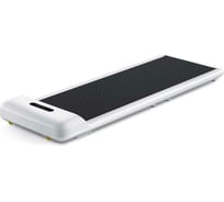 Беговая дорожка WalkingPad C2 WPS1F белая 3WPC2WHTR