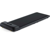 Беговая дорожка WalkingPad C2 WPS1F черная 3WPC2BKTR