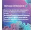 Магнезия в коробке ONLITOP Спортивная 5247725 2