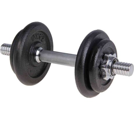 Разборная гантель ATEMI ADS100, 10 кг 00000113142