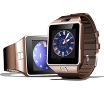 Умные часы ZDK DZ09 brown 913
