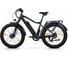 Электровелосипед BigCat Dual Next Черный матовый-3178 Eltreco 026165-3178 2