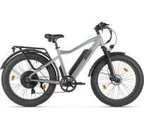 Электровелосипед BigCat Next серебристый матовый-3176 Eltreco 026162-3176