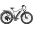 Электровелосипед BigCat Next серебристый матовый-3176 Eltreco 026162-3176 1