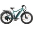 Электровелосипед BigCat Next Зеленый матовый-3177 Eltreco 026162-3177 1