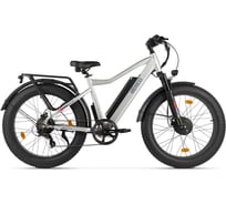 Электровелосипед BigCat Dual Next серебристый матовый-3179 Eltreco 026165-3179