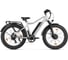Электровелосипед BigCat Dual Next серебристый матовый-3179 Eltreco 026165-3179 1