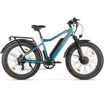 Электровелосипед BigCat Dual Next Зеленый матовый-3180 Eltreco 026165-3180