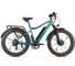 Электровелосипед BigCat Dual Next Зеленый матовый-3180 Eltreco 026165-3180 1