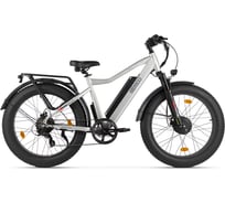 Электровелосипед BigCat Dual Next PRO серебристый матовый-3182 Eltreco 026166-3182