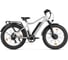 Электровелосипед BigCat Dual Next PRO серебристый матовый-3182 Eltreco 026166-3182 1