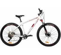 Велосипед Stinger 29AHD.RELOEVO.22WH1
