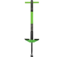 Тренажер-кузнечик Street Hit Pogo Stick Mini до 40 кг, зеленый T02-2