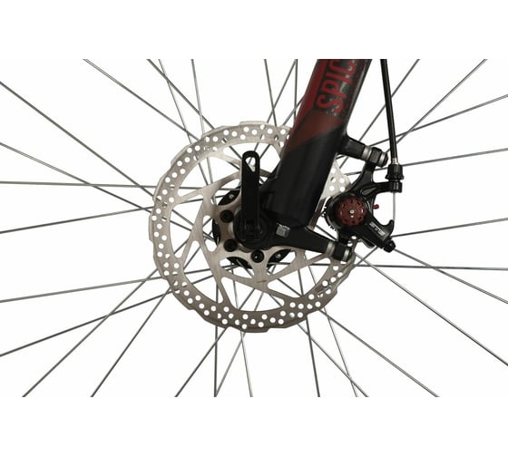 Велосипед Stinger 29AHD.GRAPHLE.20BK1