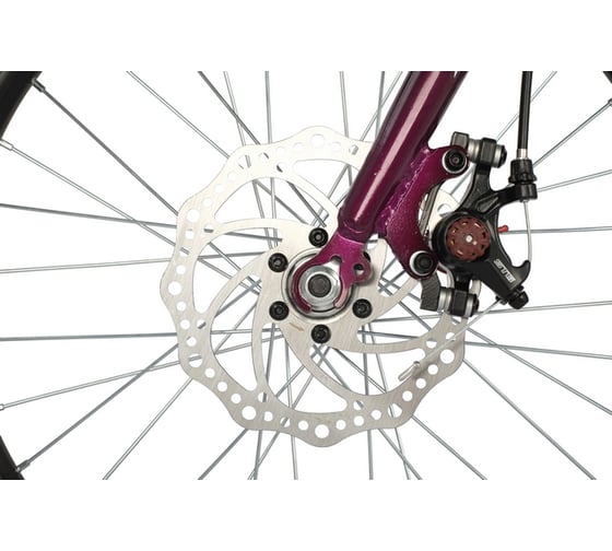 Велосипед NOVATRACK 20SH6D.ALICE.PR21
