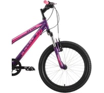 Велосипед Black One Ice Girl диаметр колес 20, фиолетовый/розовый/розовый, размер рамы 10 HQ-0005361