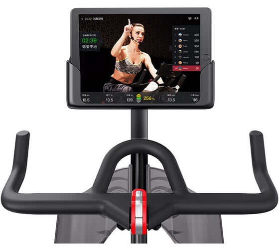 Велотренажер Yesoul Smart Spinning bike V1 черный V1 BLACK
