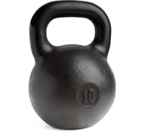 Уральская гиря ООО "Верхнеуральский завод РТИ" KU310, Титан, 10 кг KU10